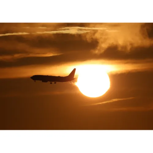 Canon Canon Eos Rf Mount>RF 200-800mm f/6.3-9 IS USM Lens