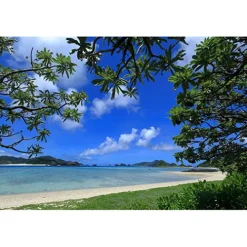 Canon Canon Eos Rf Mount><noscript><img width=