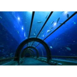 Canon Canon Eos Rf-S Mount><noscript><img width=