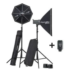 Elinchrom Strobe Lights|Studio Lighting Kits>D-Lite RX 4 Softbox To Go – Twin Strobe Kit