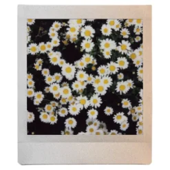 Fujifilm Instant Photo Paper>instax Square Sunset Film - 10 Pack