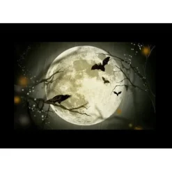 Godox Flash Diffusers & Modifiers><noscript><img width=