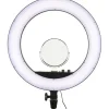 Godox Video & Led Lighting>LR160 Bi-Colour Ringlight (Black)