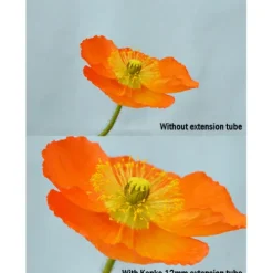 Kenko Nikon F Mount><noscript><img width=