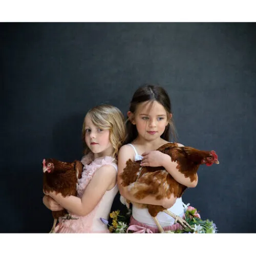 Manfrotto Mounting Hardware|Light Stands, Backgrounds & Mounting>LL LB5721 Vintage Collapsible Background - Walnut/Pewter, 5 x 7'