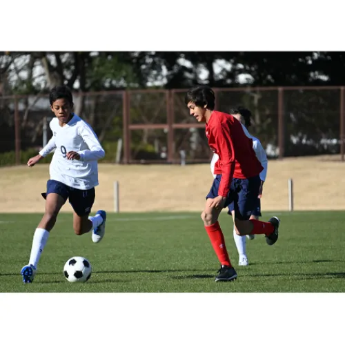 Nikon Nikon Z Mount>Z 28-400mm f/4-8 VR Lens