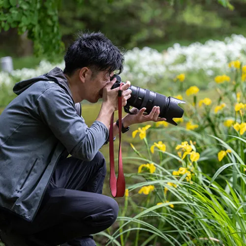 Nikon Nikon Z Mount>Z 100-400mm f/4.5-5.6 VR S Lens