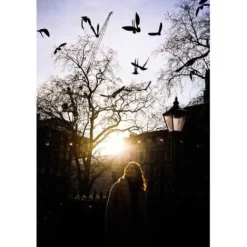 Nikon Mirrorless Cameras><noscript><img width=