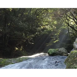 OM SYSTEM Micro Four Thirds Mount><noscript><img width=