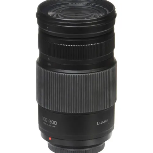 Panasonic Micro Four Thirds Mount>Lumix G Vario 100-300mm f/4-5.6 II POWER OIS Lens – Micro Four Thirds