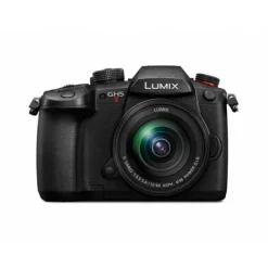 Panasonic Mirrorless Cameras><noscript><img width=
