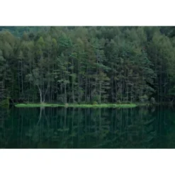 Panasonic Mirrorless Cameras><noscript><img width=