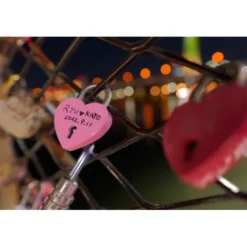 Panasonic L-Mount Alliance Lenses><noscript><img width=