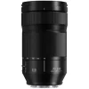 Panasonic L-Mount Alliance Lenses>Lumix S 70-300mm f/4.5-5.6 Macro O.I.S. Lens