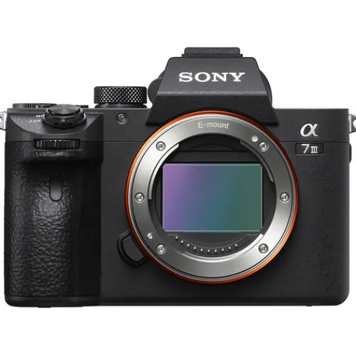 Sony Mirrorless Cameras>A7 III + 24-105mm f/4 G OSS Lens