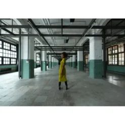 Sony Sony E-Mount><noscript><img width=