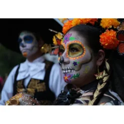 Sony Sony Fe-Mount><noscript><img width=