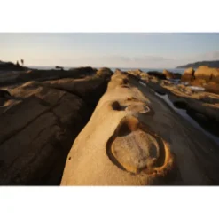 Sony Sony E-Mount><noscript><img width=