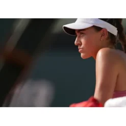 Sony Sony Fe-Mount><noscript><img width=